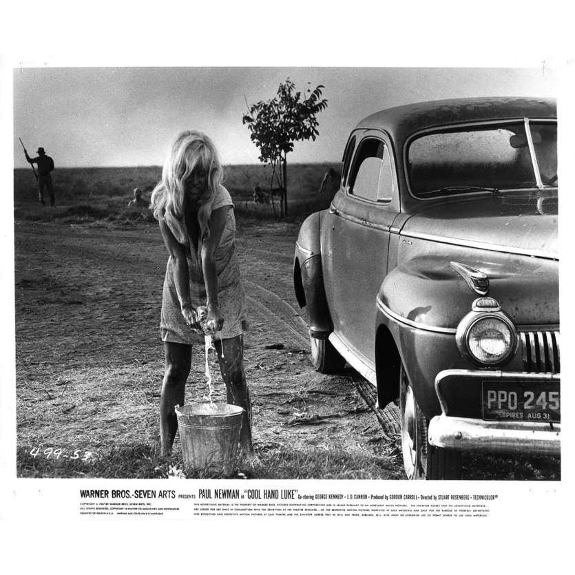 COOL HAND LUKE Original Movie Still N53 - 8x10 in. - 1967 - Stuart Rosenberg, Paul Newman