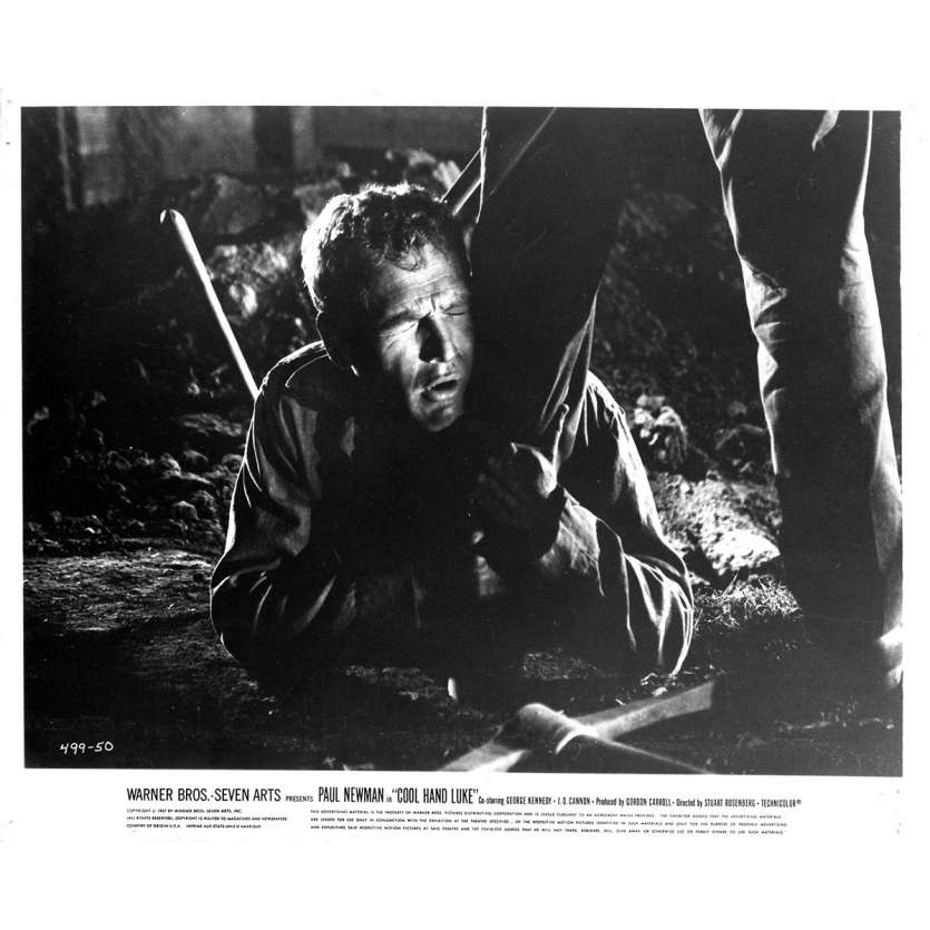 COOL HAND LUKE Original Movie Still N50 - 8x10 in. - 1967 - Stuart Rosenberg, Paul Newman