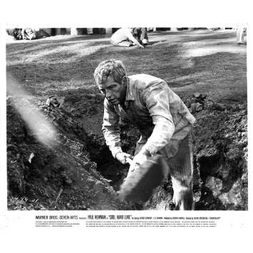 COOL HAND LUKE Original Movie Still N21 - 8x10 in. - 1967 - Stuart Rosenberg, Paul Newman