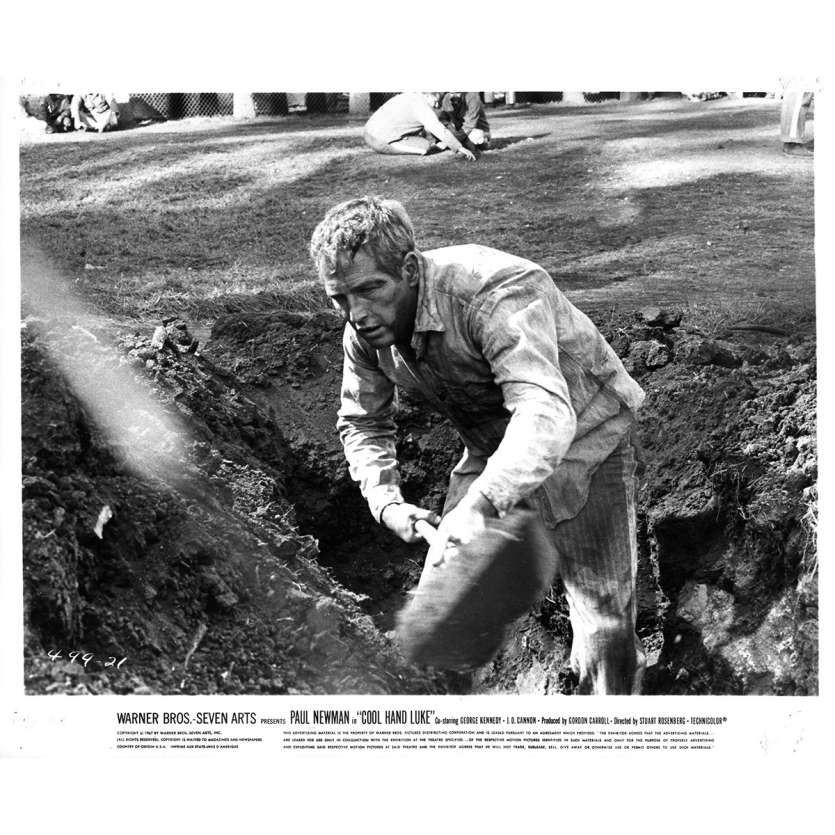 LUKE LA MAIN FROIDE Photo de presse N21 - 20x25 cm. - 1967 - Paul Newman, Stuart Rosenberg