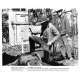 LUKE LA MAIN FROIDE Photo de presse N20 - 20x25 cm. - 1967 - Paul Newman, Stuart Rosenberg
