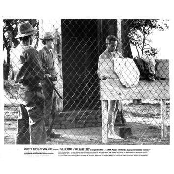 COOL HAND LUKE Original Movie Still N18 - 8x10 in. - 1967 - Stuart Rosenberg, Paul Newman