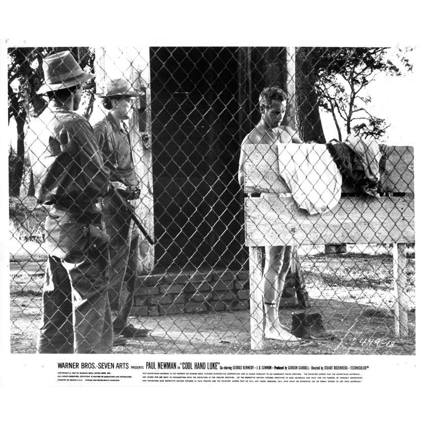 LUKE LA MAIN FROIDE Photo de presse N18 - 20x25 cm. - 1967 - Paul Newman, Stuart Rosenberg