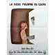 LA ROSE POURPRE DU CAIRE Affiche de film  - 40x60 cm. - 1985 - Mia Farrow, Woody Allen