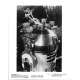 STAR WARS - LE RETOUR DU JEDI Photo de presse ROJ-12 - 20x25 cm. - 1983 - Harrison Ford, Richard Marquand