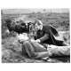 LA FEMME REPTILE Photo de presse 21 - 20x25 cm. - 1966 - Noel Willman, John Gilling