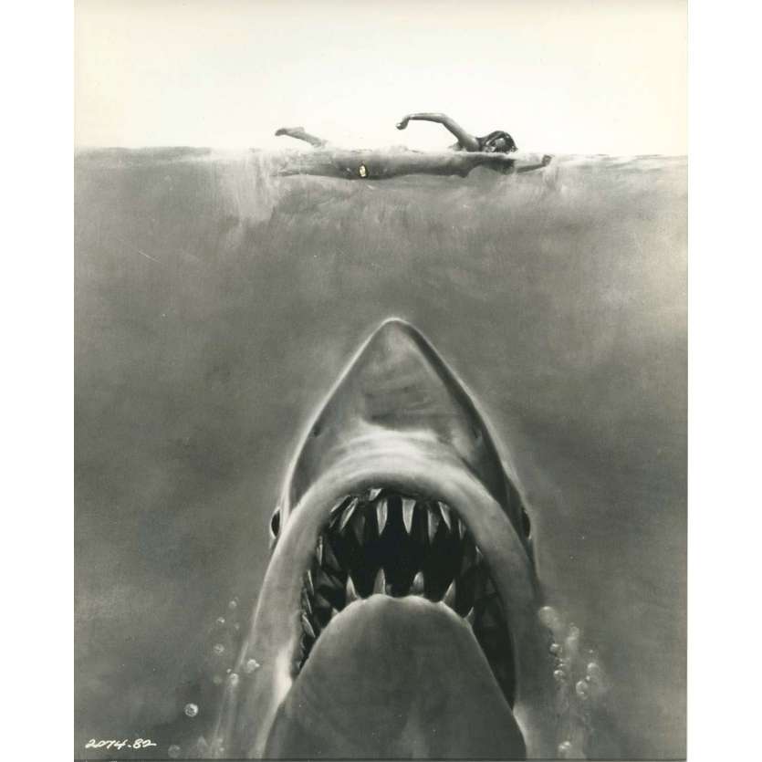 LES DENTS DE LA MER Photo de presse N09 - 20x25 cm. - 1975 - Roy Sheider, Steven Spielberg