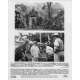 JURASSIC PARK Photo de film 2213-6 - 20x25 cm. - 1993 - Sam Neil, Steven Spielberg