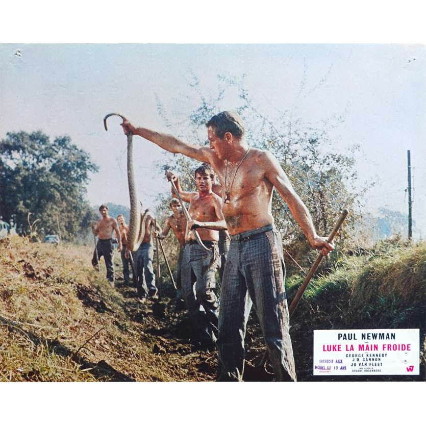 COOL HAND LUKE Original Lobby Card N01 - 9x12 in. - 1967 - Stuart Rosenberg, Paul Newman