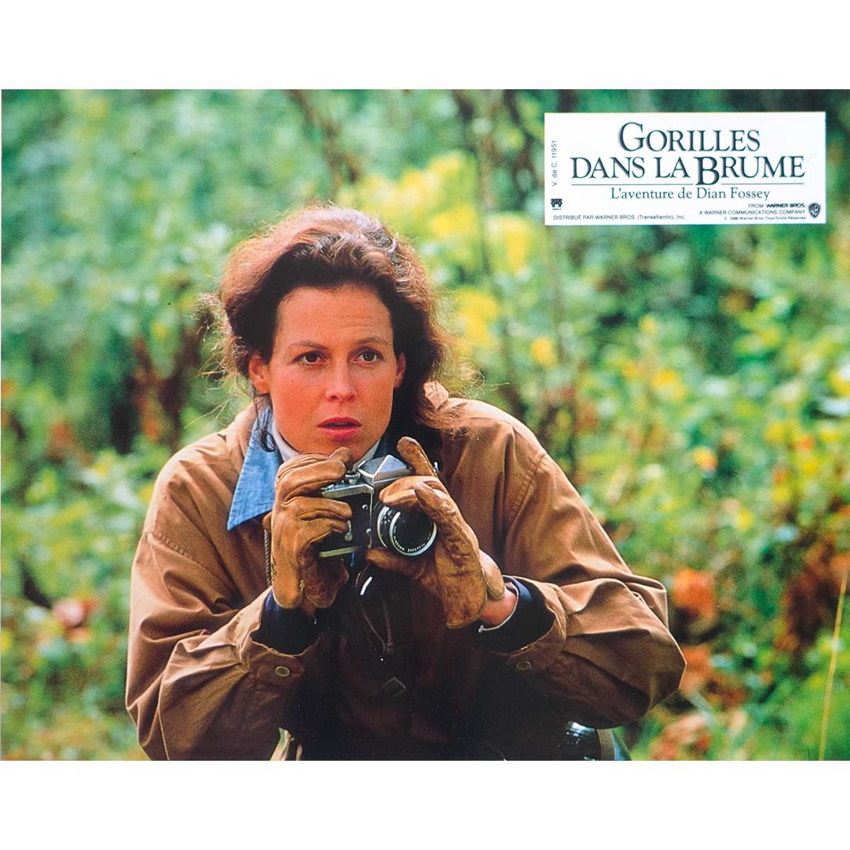 Diane Fossey Gorille Dans La Brume Photo d'exploitation Française de GORILLES DANS LA BRUME N02