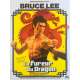 THE WAY OF THE DRAGON Movie Poster - 15x21 in. - R1990 - Restrike - Bruce Lee, Bruce Lee, Chuck Norris