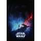 STAR WARS - THE RISE OF SKYWALKER IX 9 Original Movie Poster  - 27x41 in. - 2019 - J.J. Abrams, Daisy Ridley