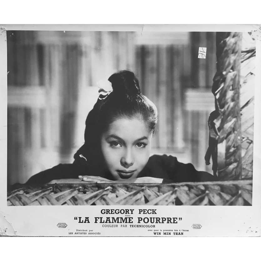 LA FLAMME POURPRE Photo de film - 24x30 cm. - 1954 - Greagory Peck, Robert Parrish