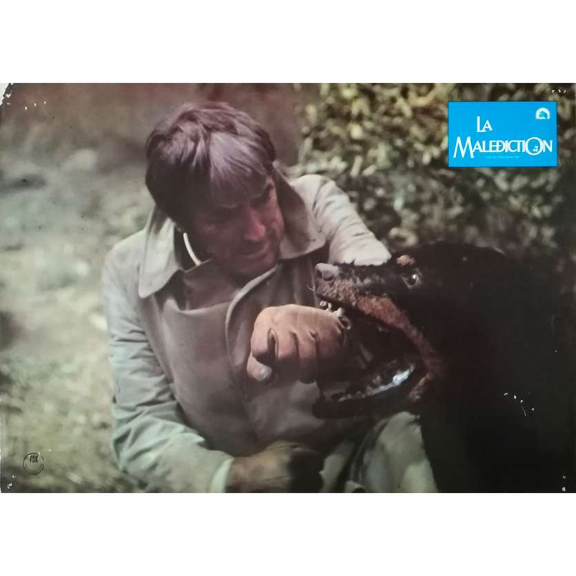 LA MALEDICTION Photo de film - 21x30 cm. - 1979 - Gregory Peck, Richard Donner