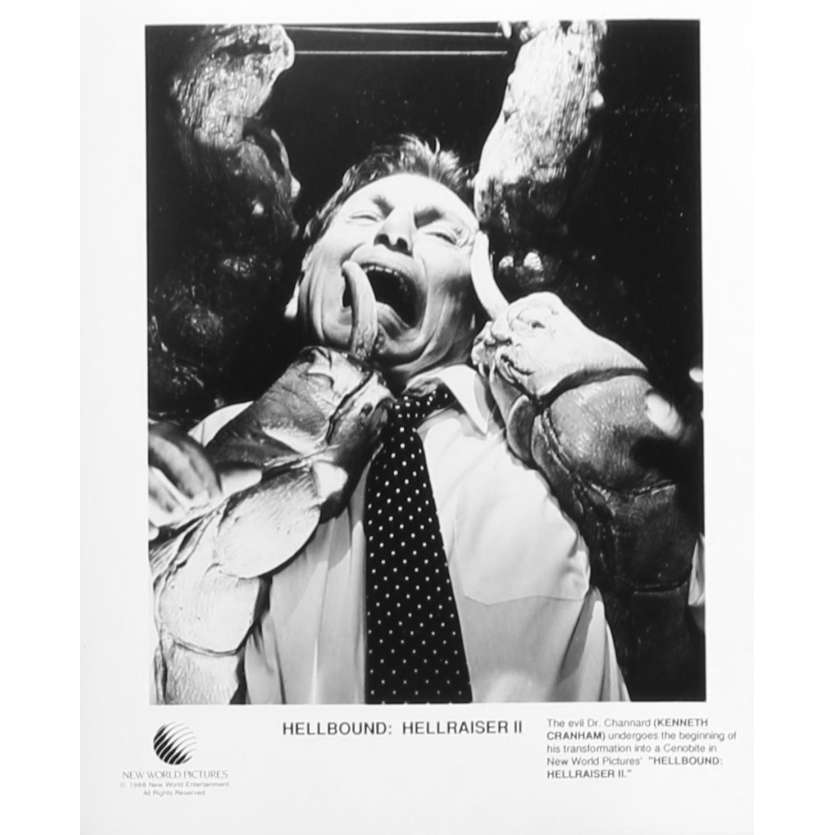 HELLRAISER 2 Original Movie Still N05 - 8x10 in. - 1988 - Tony Randel, Doug Bradley