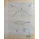 DUNE Blueprint - Arakeen No:Ext/M15/1 - 45x55/60 cm. - 1982, David Lynch