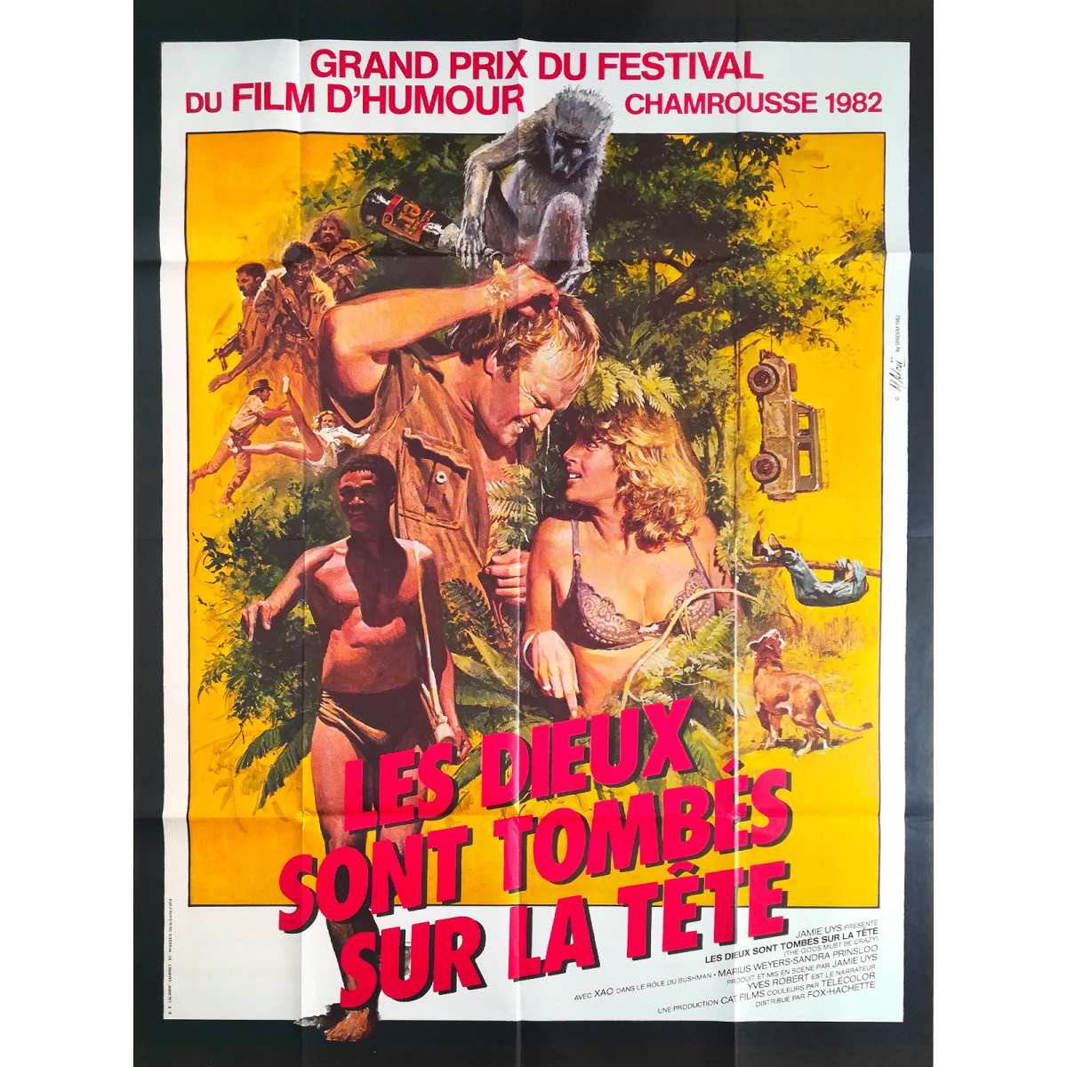 Les Dieux Sont Tombés Sur La Tête Dvd Affiche de cinéma française de LES DIEUX SONT TOMBES SUR LA TETE
