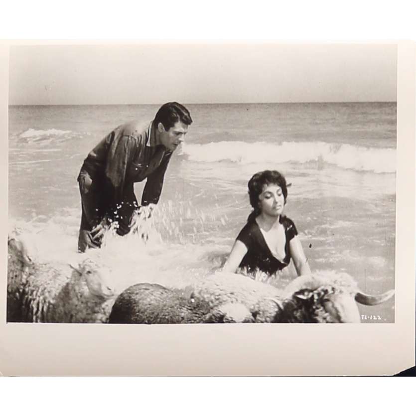 THE LAW Original Movie Still TL-122 - 8x10 in. - 1959 - Jules Dassin, Gina Lollobrigida, Pierre Brasseur