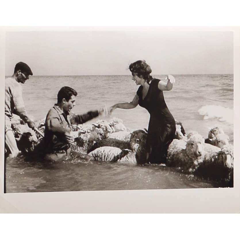 THE LAW Original Movie Still TL-119 - 8x10 in. - 1959 - Jules Dassin, Gina Lollobrigida, Pierre Brasseur