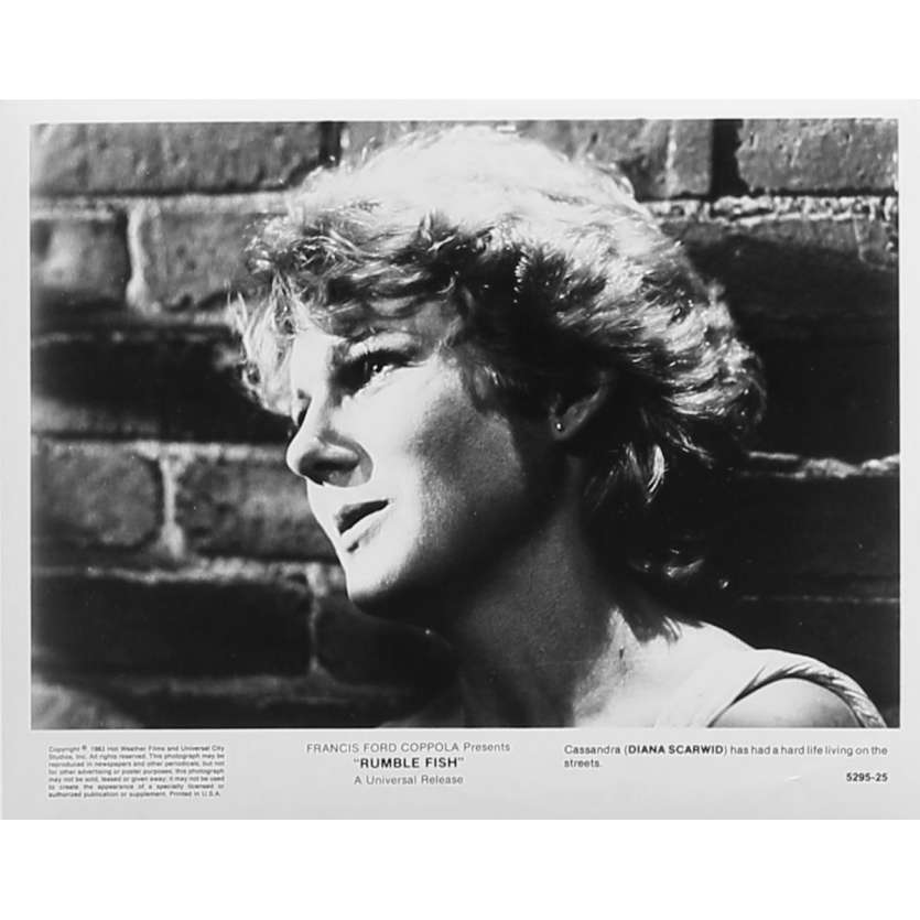 RUSTY JAMES Photo de presse 5295-25 - 20x25 cm. - 1983 - Matt Dillon, Francis Ford Coppola