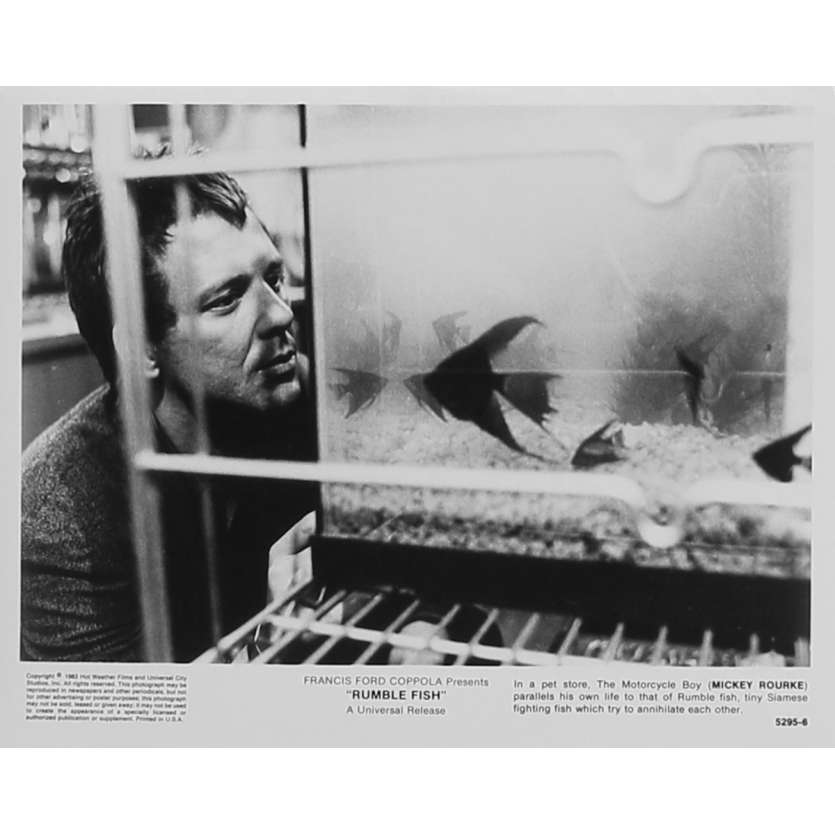 RUMBLE FISH Original Movie Still 5295-6 - 8x10 in. - 1983 - Francis Ford Coppola, Matt Dillon