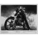 RUMBLE FISH Original Movie Still 5295-2 - 8x10 in. - 1983 - Francis Ford Coppola, Matt Dillon