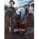 HARRY POTTER ET LA COUPE DE FEU Affiche de film - 40x54 cm. - 2005 - Daniel Radcliffe, Mike Newell