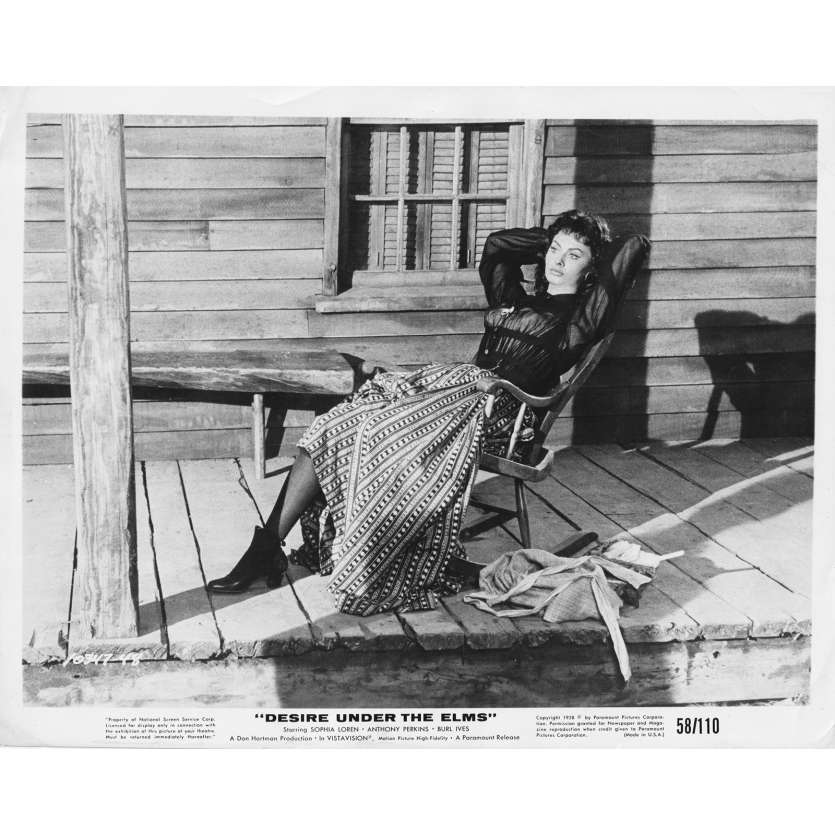 DESIRE UNDER THE ELMS Original Movie Still 48 - 8x10 in. - 1958 - Delbert Mann, Sophia Loren, Anthony Perkins
