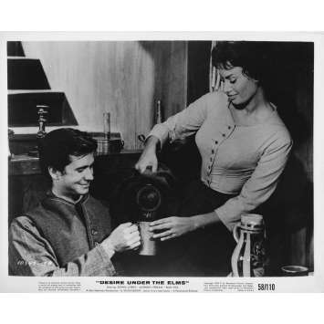 DESIR SOUS LES ORMES Photo de presse 15A - 20x25 cm. - 1958 - Sophia Loren, Anthony Perkins, Delbert Mann