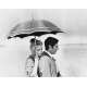 A PLACE FOR LOVERS Original Movie Still PFL-14 - 8x10 in. - 1968 - Vittorio De Sica, Marcello Mastroianni, Faye Dunaway