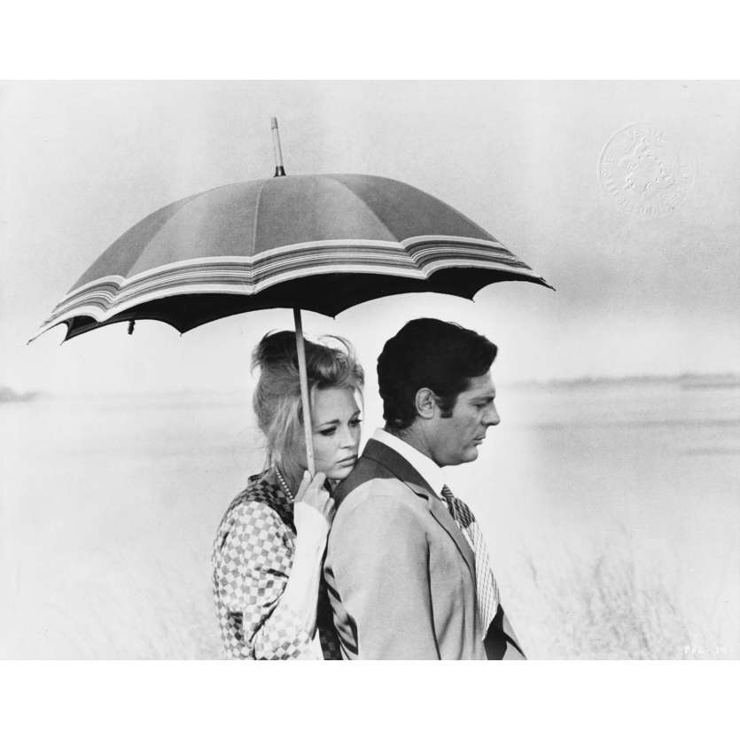 LE TEMPS DES AMANTS Photo de presse PFL-14 - 20x25 cm. - 1968 - Marcello Mastroianni, Faye Dunaway, Vittorio De Sica