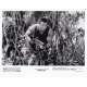 PREDATOR Original Movie Still N01 - 8x10 in. - 1987 - John McTiernan, Arnold Schwarzenegger