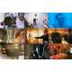 MANHUNTER Original Lobby Cards x9 - 9x12 in. - 1986 - Michael Mann, William Petersen