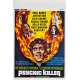 PSYCHIC KILLER Vintage Movie Poster- 14x21 in. - 1975 - Ray Danton, Paul Burke