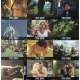 KING KONG (2005) Lobby Cards x12 - 9x12 in. - 2005 - Peter Jackson, Naomi Watts