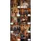 THE BRIDES OF FU MANCHU Lobby Cards x10-set L1 - 9x12 in. - 1966 - Don Sharp, Christopher Lee