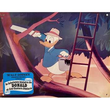 LA FABULEUSE HISTOIRE DE DONALD ET DES CASTORS JUNIORS Photo de film N03 - 24x30 cm. - 1975 - Donald Duck, Walt Disney
