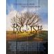 BIG FISH Movie Poster- 47x63 in. - 2003 - Tim Burton, Ewan McGregor