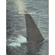 ORCA Synopsis 6p - 21x30 cm. - 1977 - Richard Harris, Michael Anderson