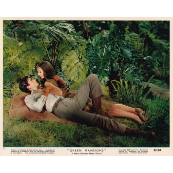 VERTES DEMEURES Photo de presse N9 - 20x25 cm. - 1959 - Audrey Hepburn, Anthony Perkins, Mel Ferrer