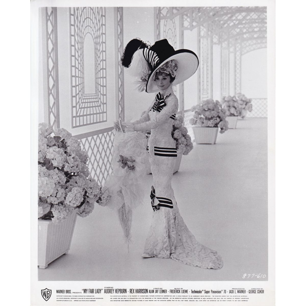 MY FAIR LADY U.S. Movie Still - 8x10 in. - 1964 877-610