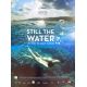 STILL THE WATER French Movie Poster15x21 - 2014 - Naomi Kawase, Nijiro Murakami