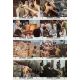 THE COMMON MAN Lobby Cards x8 - 9x12 in. - 1975 - Yves Boisset, Jean Carmet