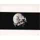 2001 L'ODYSSEE DE L'ESPACE Photo de presse N251 - 20x25 cm. - 1968 - Keir Dullea, Stanley Kubrick