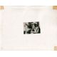 LES FORBANS DE LA NUIT Photo de presse 776-105 - 20x25 cm. - 1950 - Richard Widmark, Gene Tierney, Jules Dassin