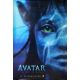 AVATAR LA VOIE DE L'EAU affiche de film Prev. Inter. - 69x102 cm. - 2022 - Kate Winslet, James Cameron