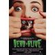 BRAINDEAD affiche de film- 69x102 cm. - 1992 - Timothy Balme, Peter Jackson