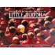 LITTLE BUDDHA Affiche de film- 60x80 cm. - 1993 - Keanu Reeves, Bernardo Bertolucci