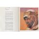 LAWRENCE OF ARABIA Program 28p - 10x12 in. - 1962 - David Lean, Peter O'Toole - erotic