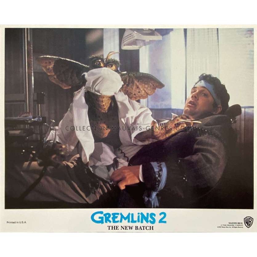 GREMLINS 2 Photo de film N05 - 28x36 cm. - 1990 - Zach Galligan, Joe Dante